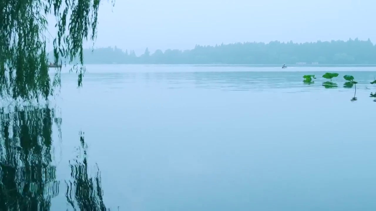 浙江杭州西湖旅游景区湖泊荷叶风光视频素材