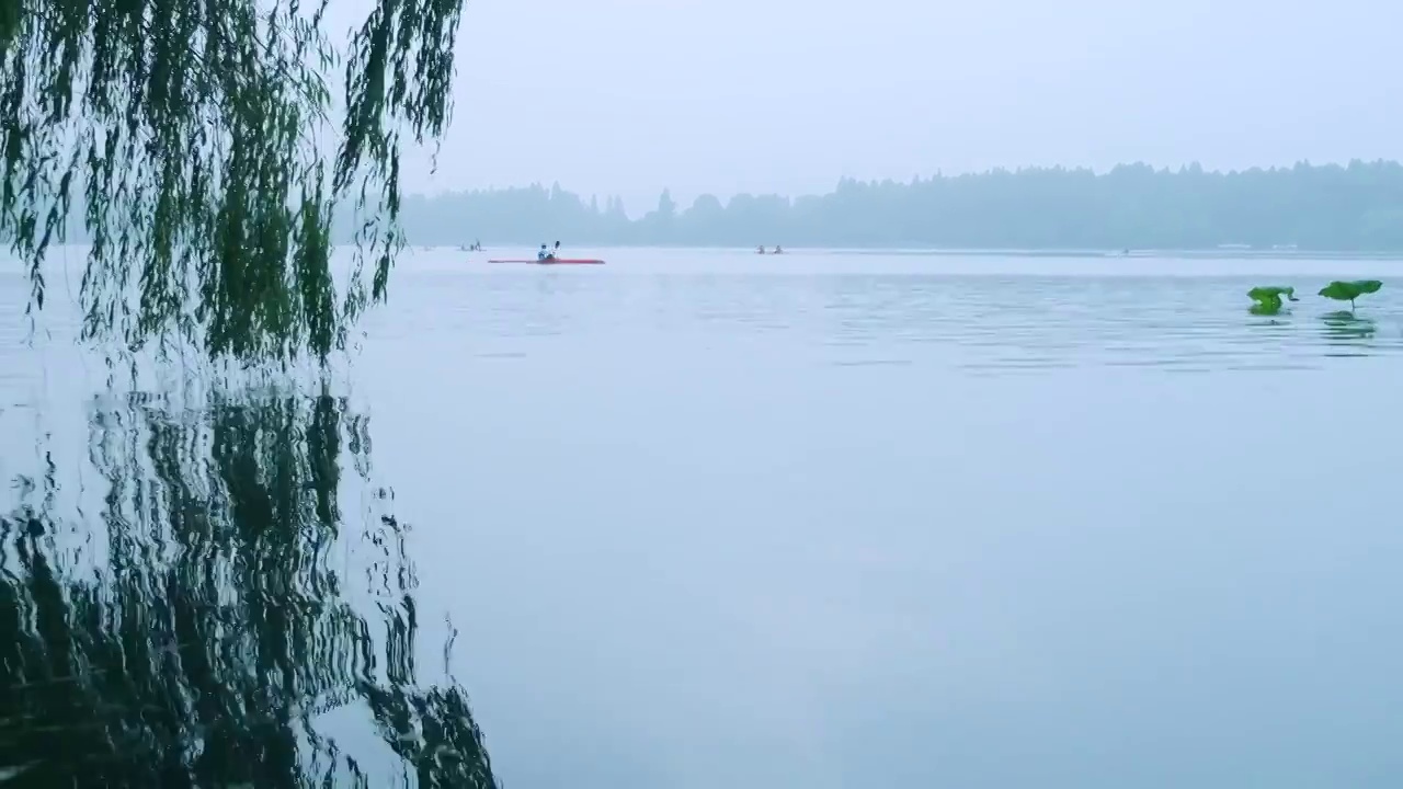 浙江杭州西湖旅游景区湖泊荷叶风光视频素材