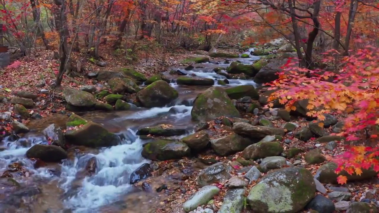 老边沟的秋天，秋天的枫叶与流水，本溪的秋景，东北的秋天视频素材