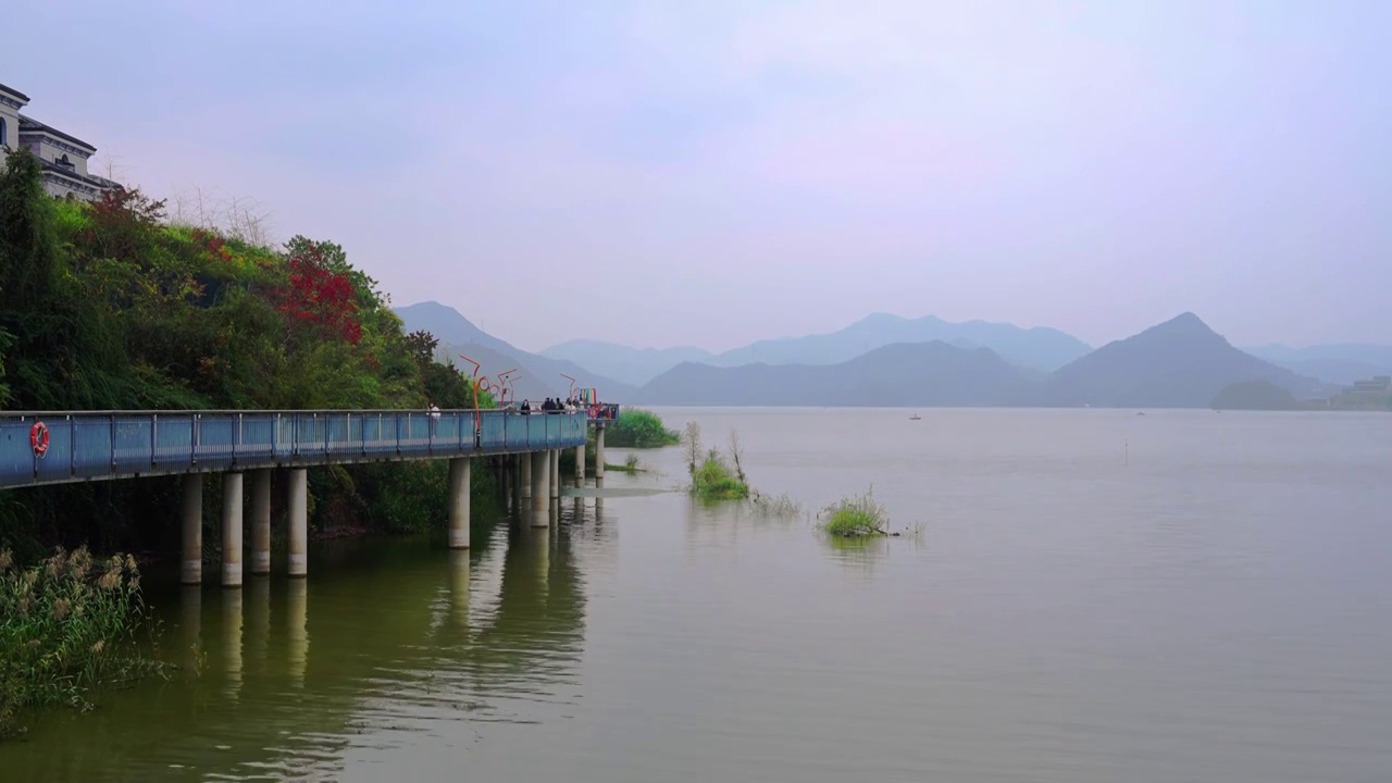 临安青山湖水上森林视频下载