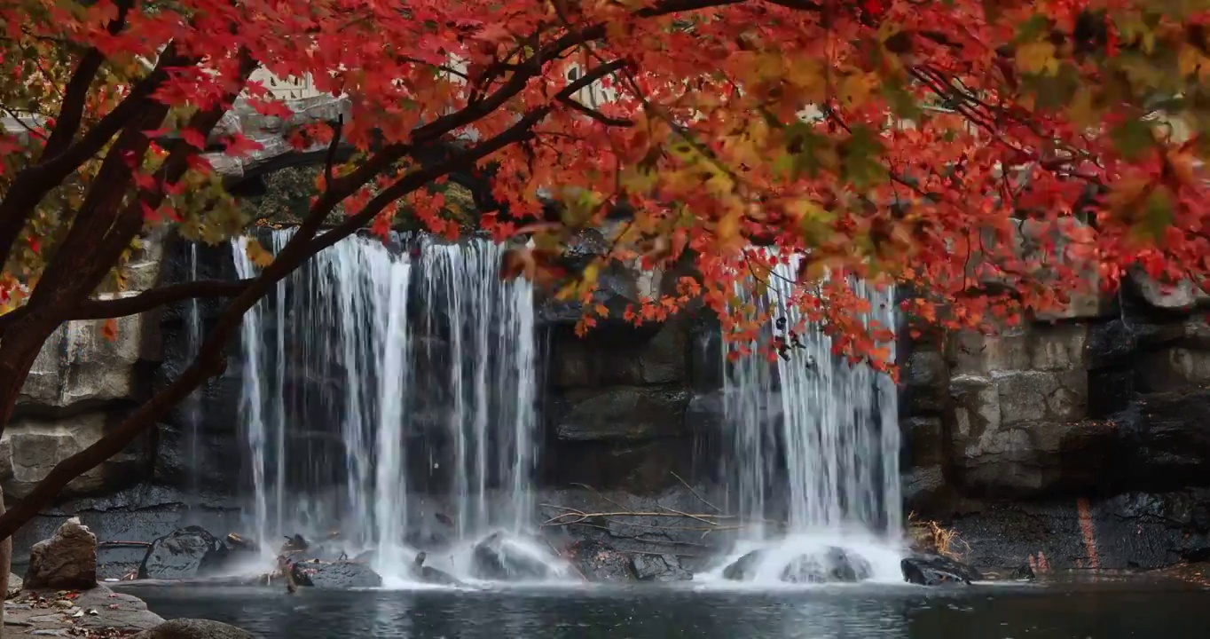 枫叶与瀑布，流动的河水与秋天的红叶，关门山国家森林公园，东北的秋天视频素材