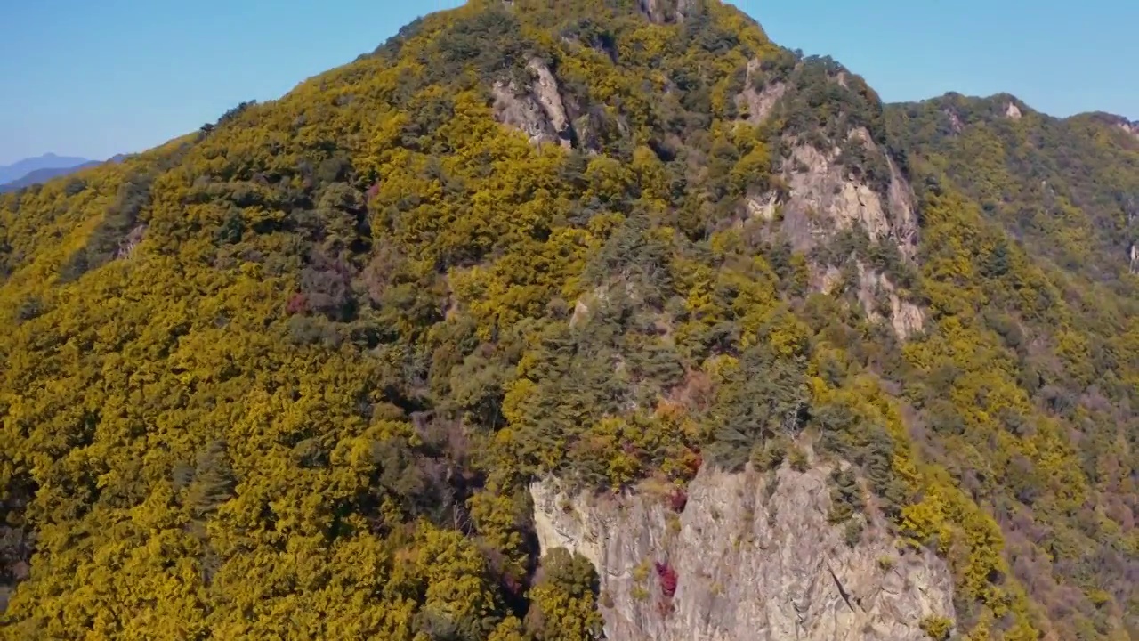 秋天的山谷，航拍秋天的森林，东北的山林，东北的秋天视频素材