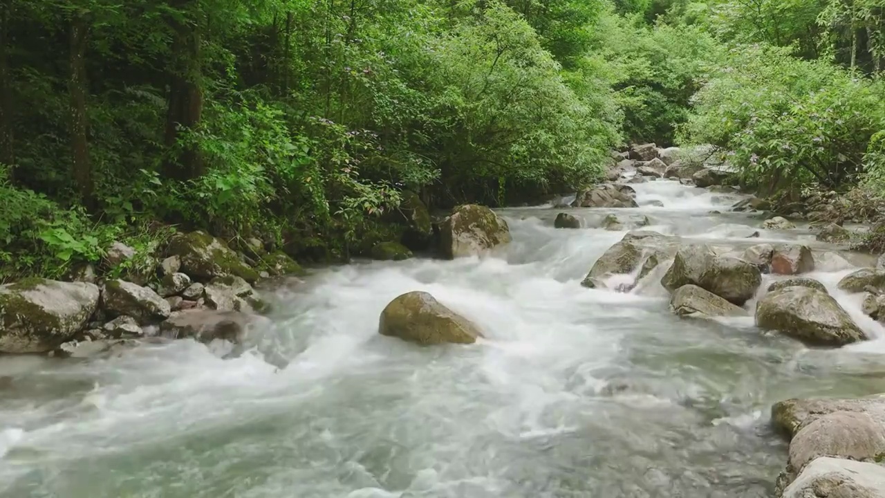 青山绿水溪流视频素材