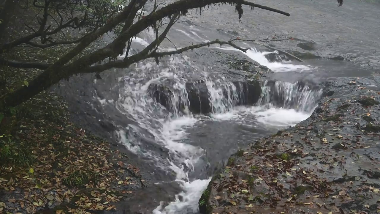 四川雅安荥经龙苍沟的溪水视频素材