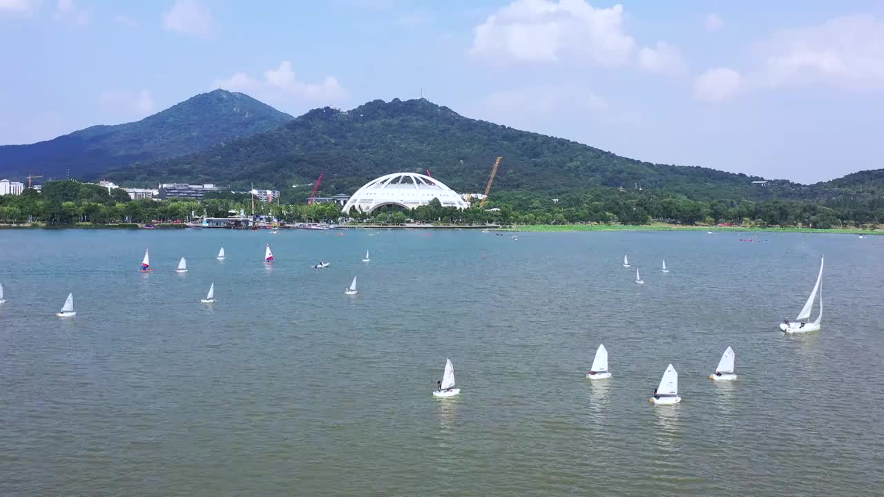 江苏南京紫金山下玄武湖上的帆船水上运动视频素材