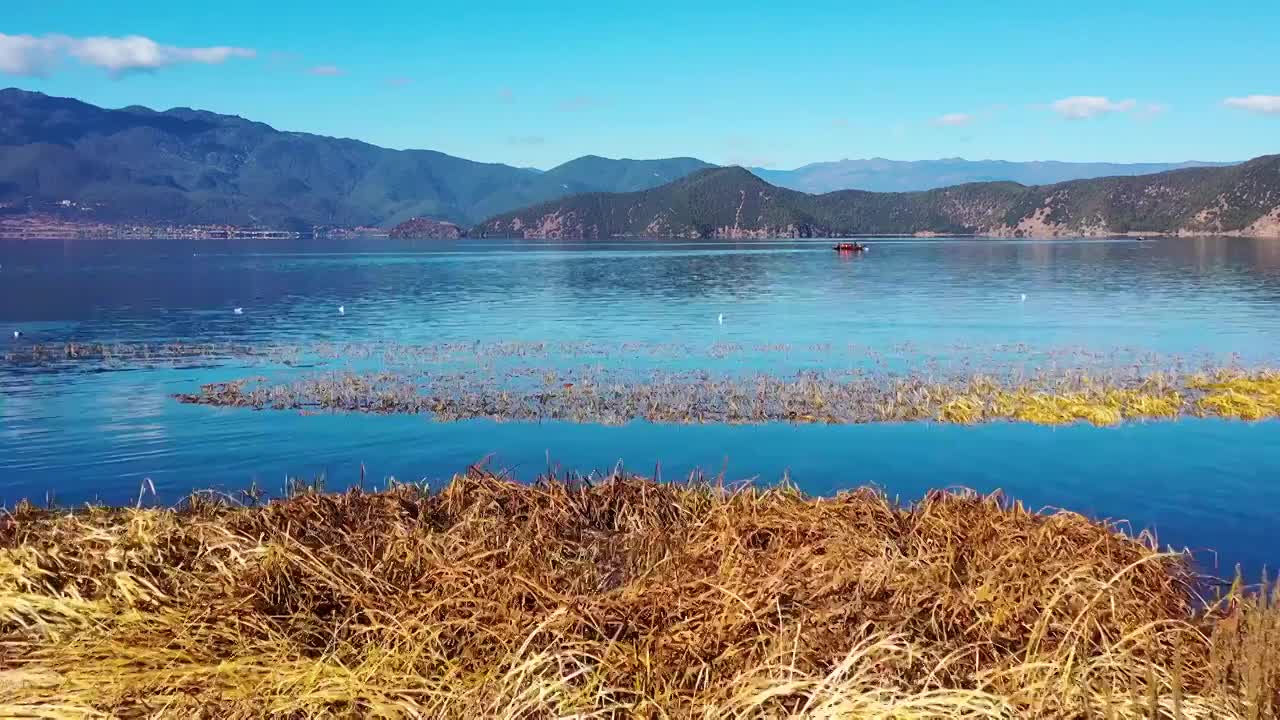 航拍云南泸沽湖秋天秋色游船游湖风光视频素材