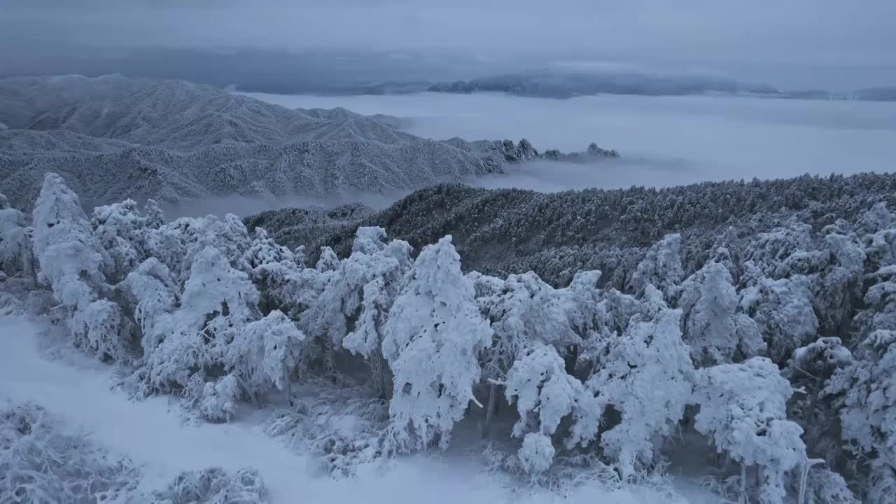 杭州临安大明山牵牛岗森林雪景云海航拍视频素材