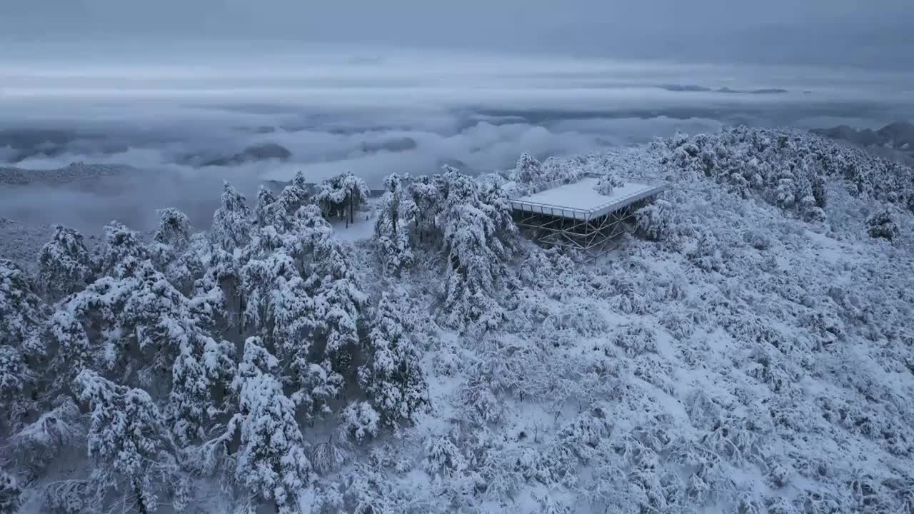 杭州临安大明山牵牛岗森林雪景云海航拍视频素材