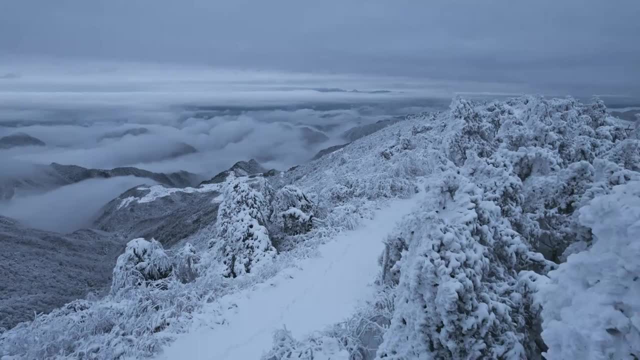 杭州临安大明山牵牛岗森林雪景云海航拍视频素材