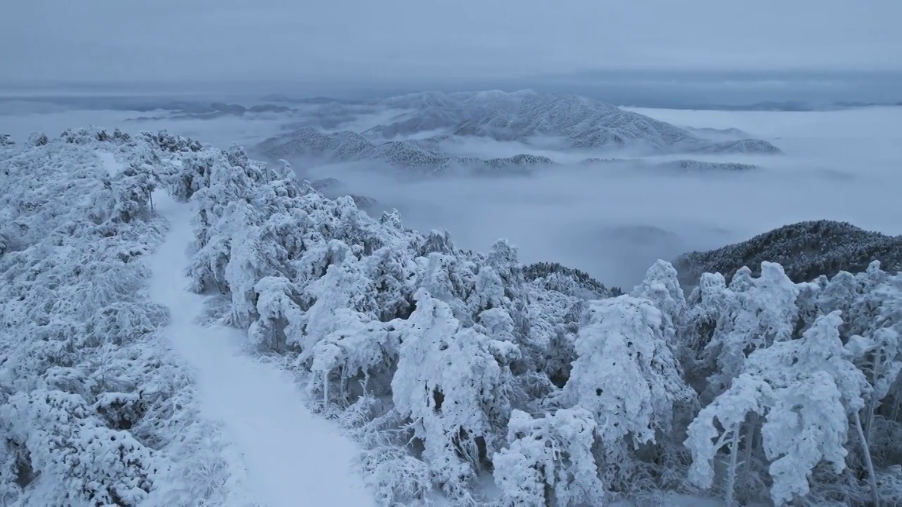 杭州临安大明山牵牛岗森林雪景云海航拍视频素材