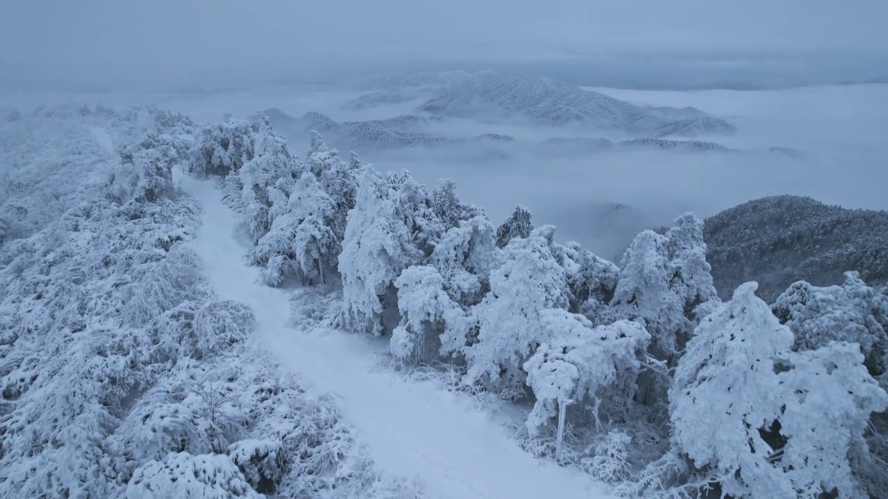 杭州临安大明山牵牛岗森林雪景云海航拍视频素材