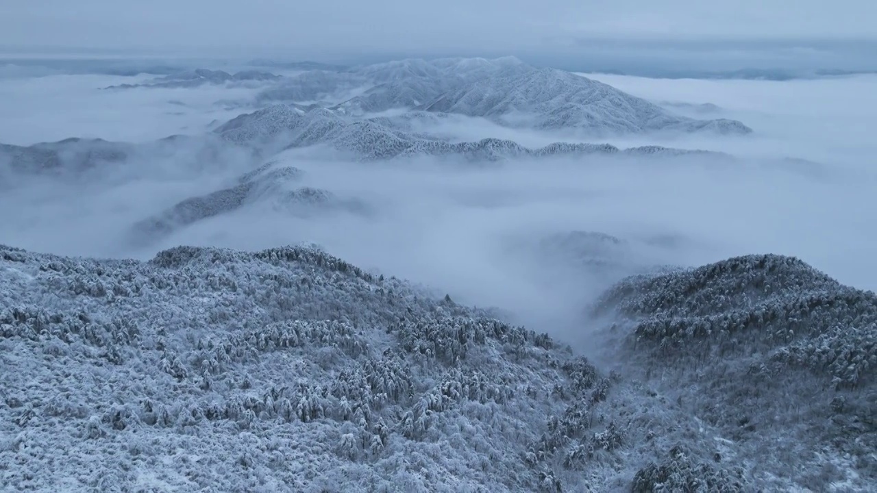 杭州临安大明山牵牛岗森林雪景云海航拍视频素材