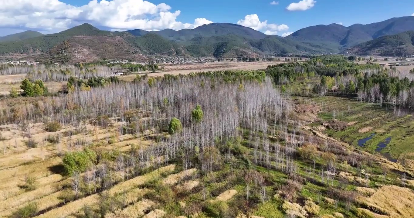 云南泸沽湖草海生态风光杭哦视频素材