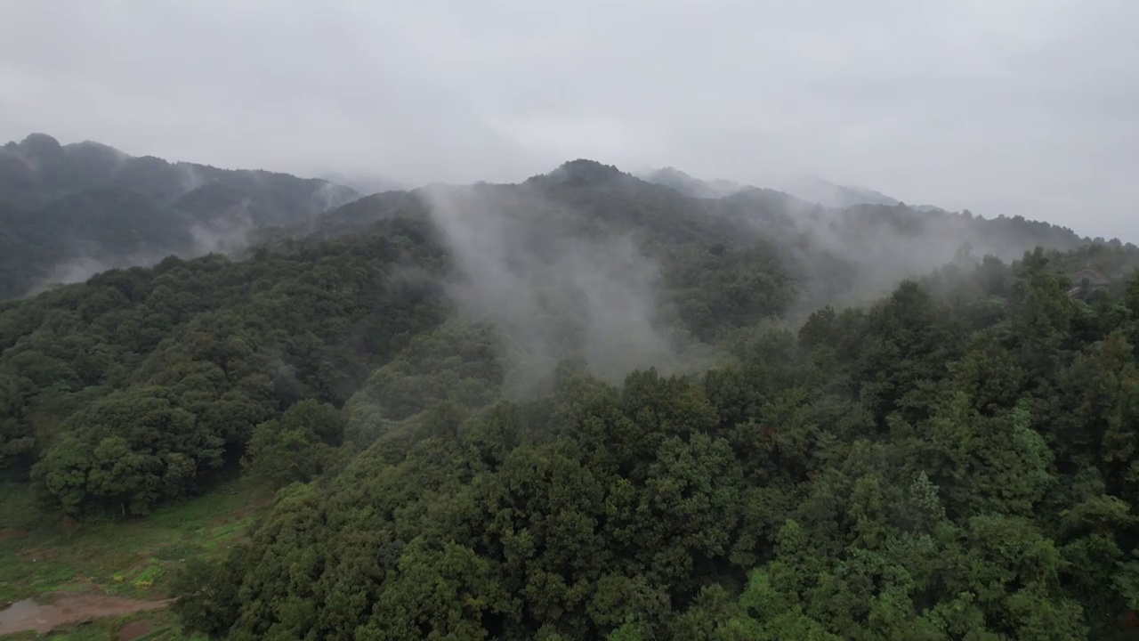 青城山 雾 穿云视频素材