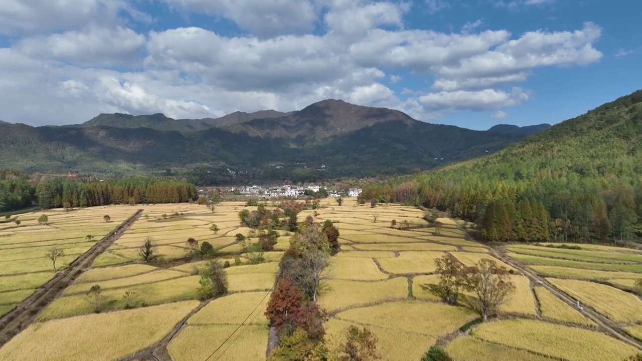 皖南 塔川秋天视频素材