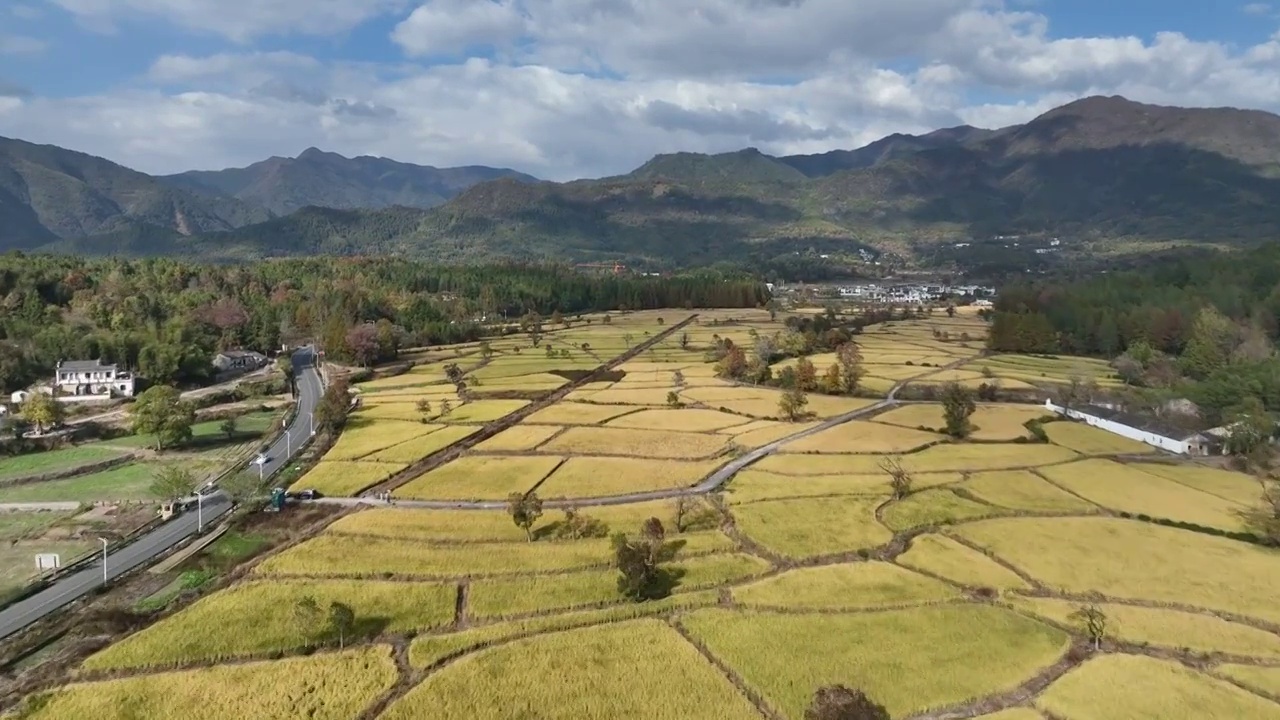 皖南 塔川秋天视频素材