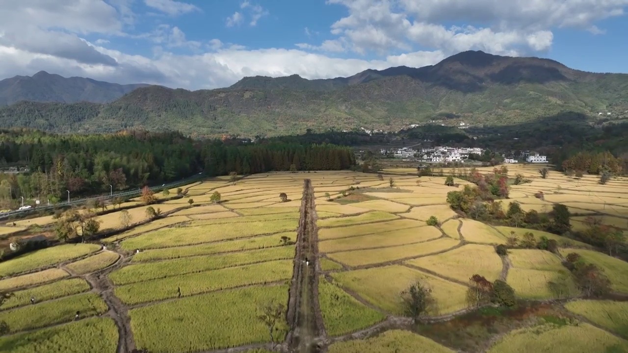 皖南 塔川秋天视频素材