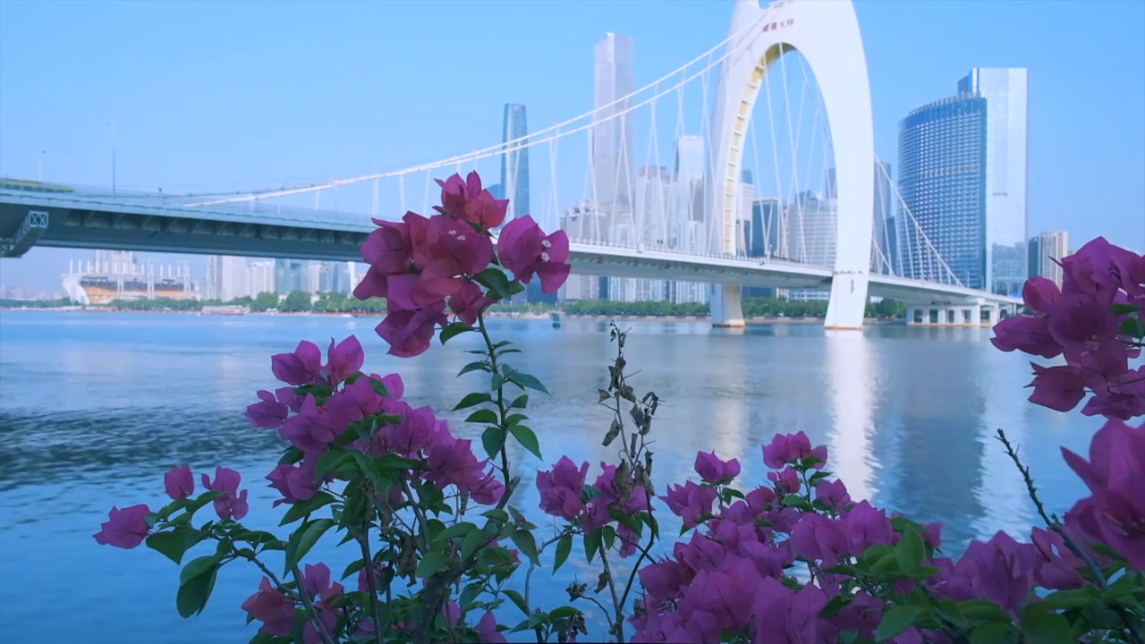 广州猎德大桥与城市摩天大楼建筑景观视频素材