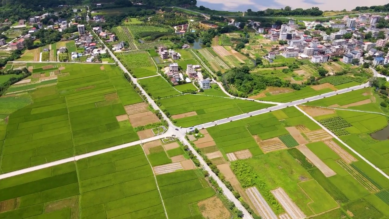 中国广东惠州墨园村乡村振兴建设自然生态田园风光视频素材