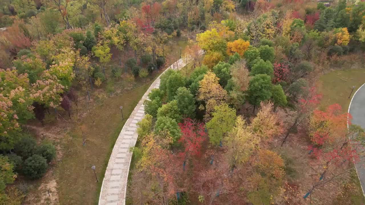 少荃湖湿地公园秋景视频素材