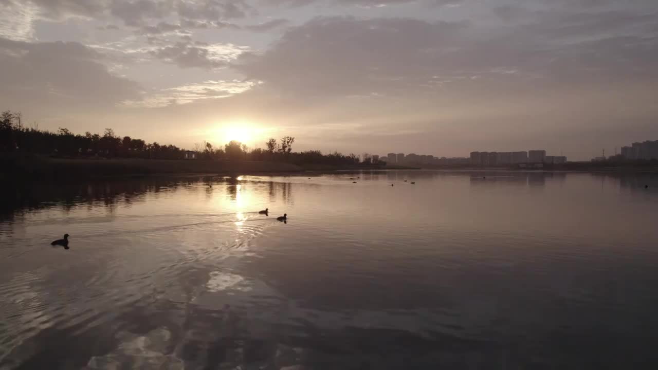 合肥少荃湖湿地公园景观视频素材