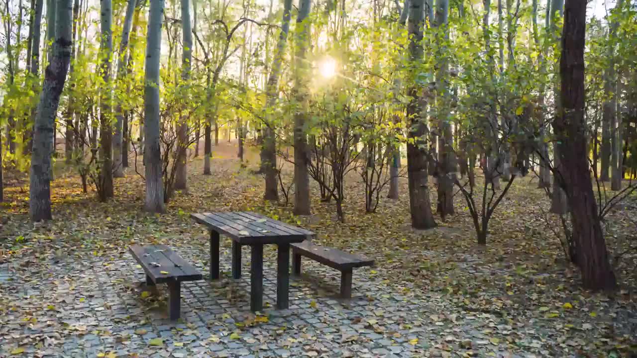 秋天树林的木桌落叶立冬延时落日视频素材