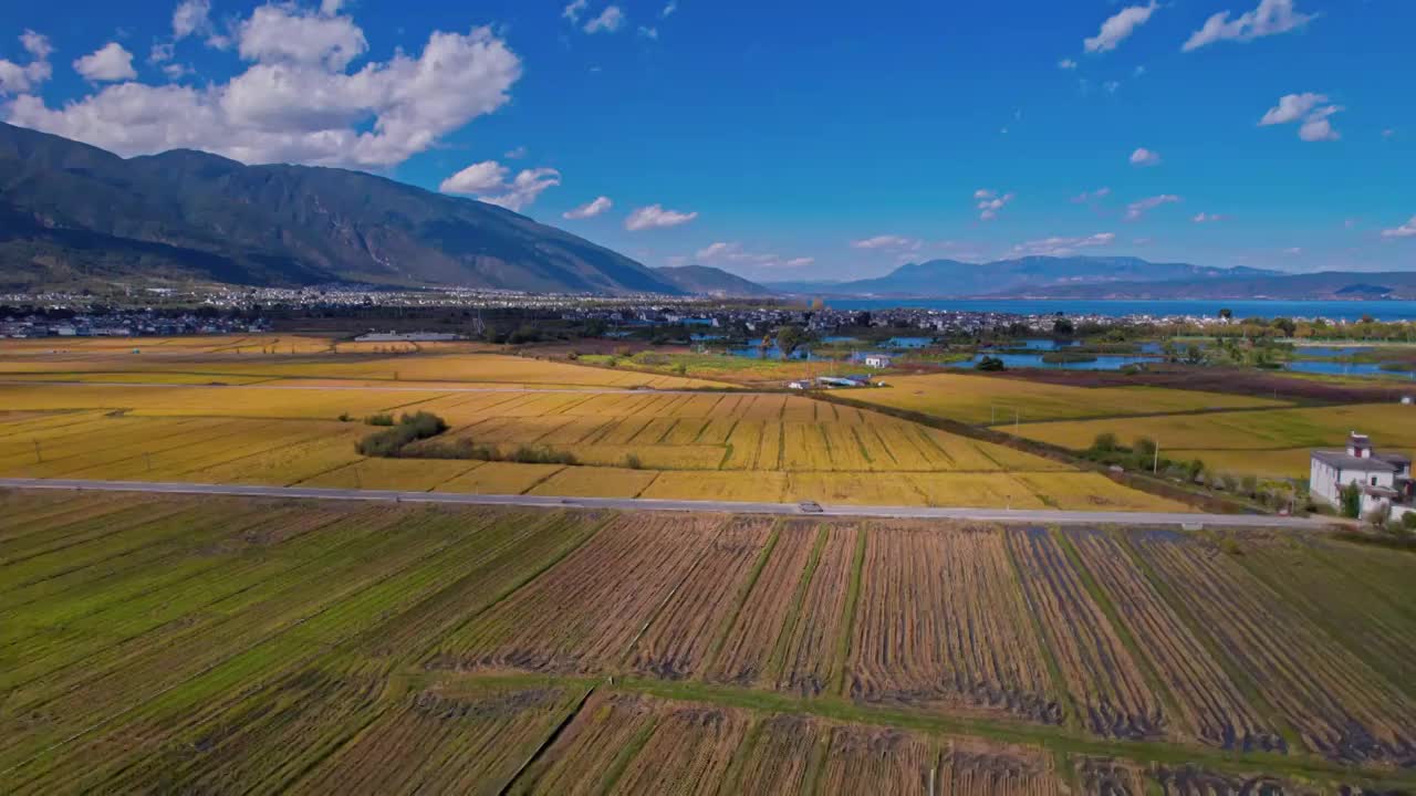 麦田与湿地视频素材