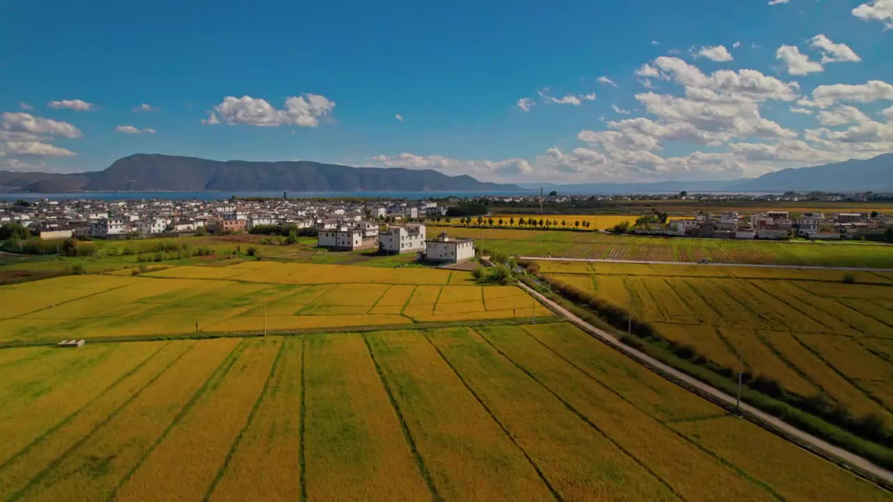 麦田和村落视频素材