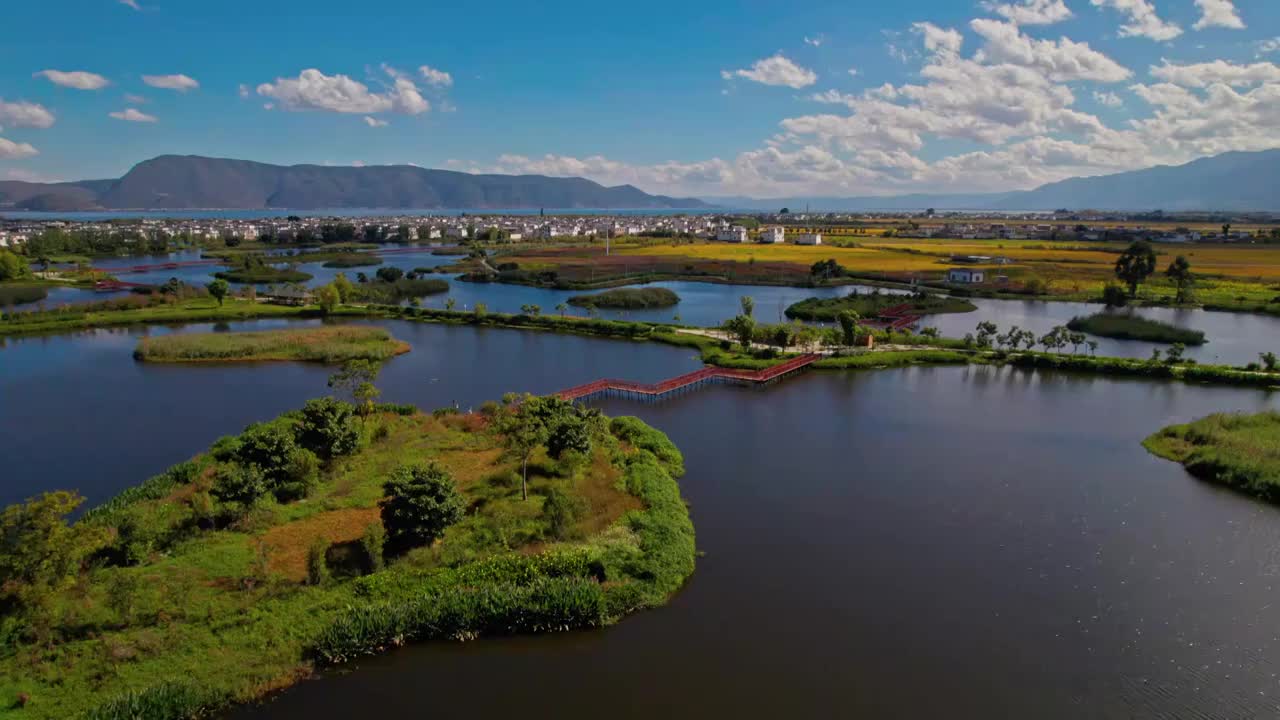 湿地公园和金色稻田视频素材