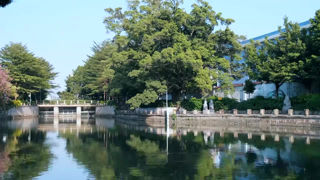 广州荔湾芳村河涌公园绿树景观视频素材