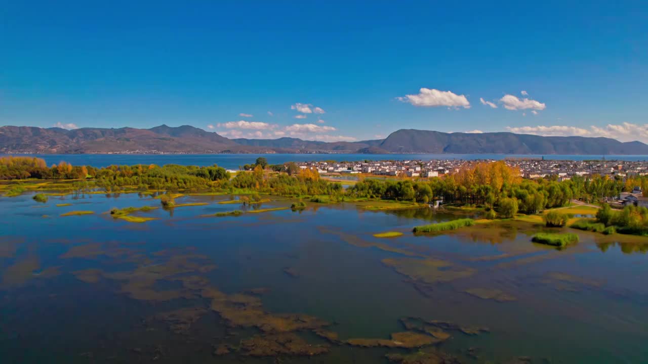 秋天洱海湿地与村落视频素材