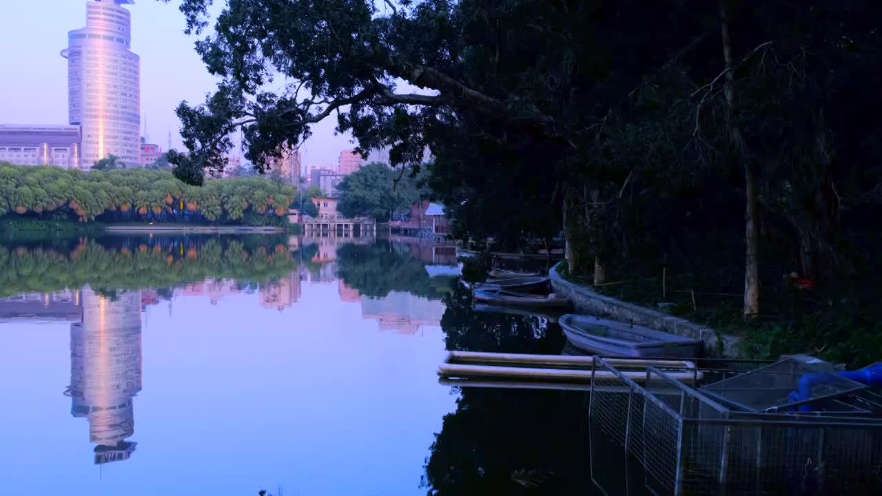 广州流花湖公园湖景绿树自然全景风光视频素材