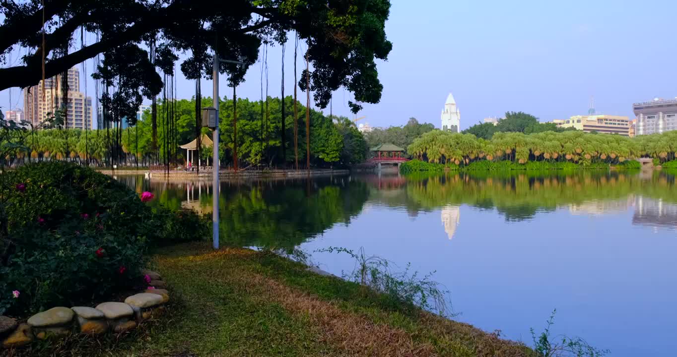 广州流花湖公园湖泊树林全景自然风光视频素材