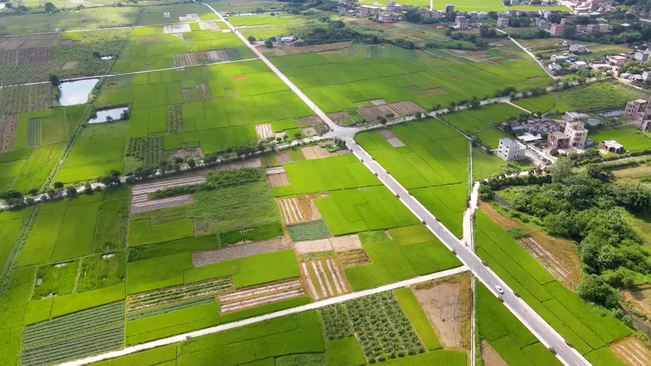 中国广东惠州墨园村乡村振兴建设自然生态田园风光视频素材