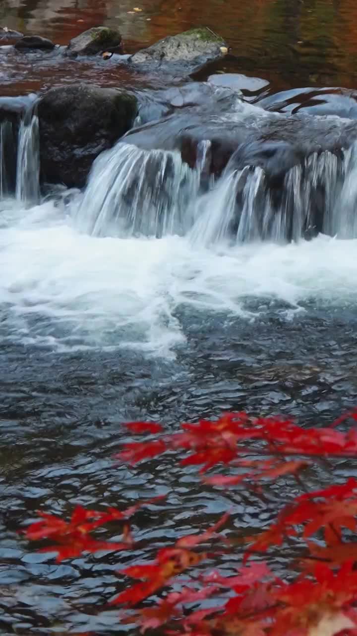 秋天的大石湖，本溪的秋天，东北秋色视频素材