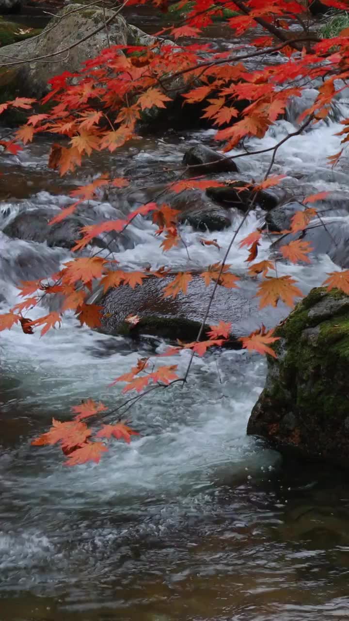 秋天的大石湖，本溪的秋天，东北秋色视频素材