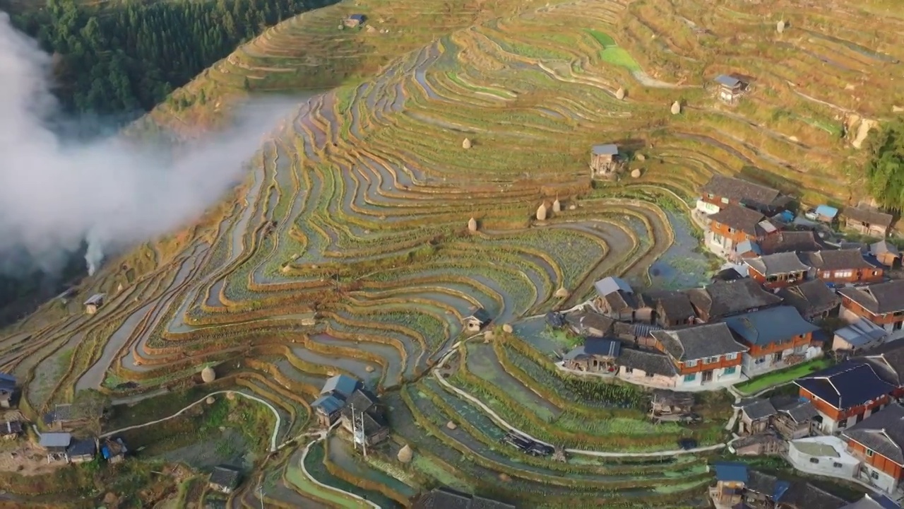 清晨的加榜东鹏梯田视频素材