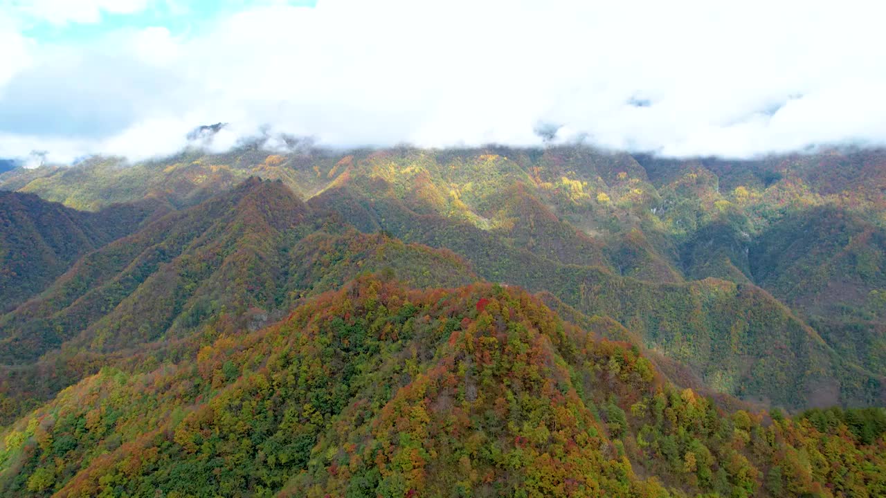 重庆城口大巴山秋色美如画视频素材