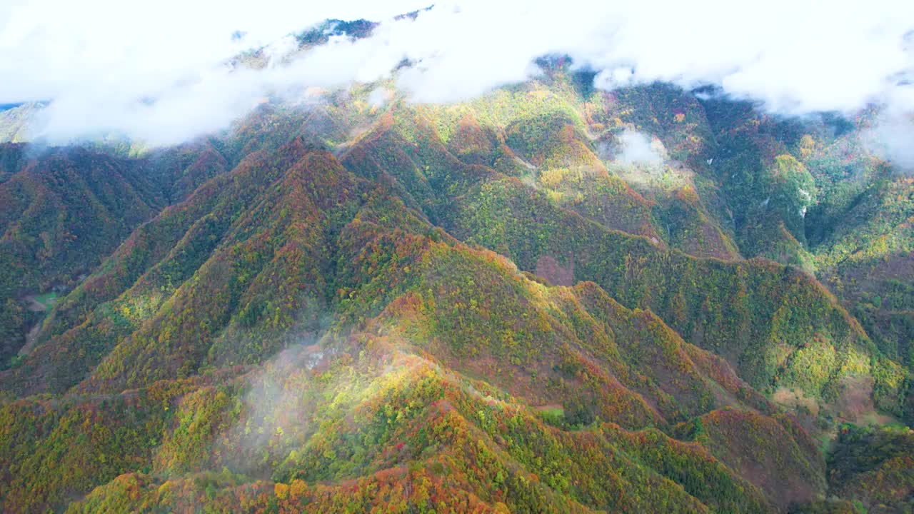 重庆城口大巴山秋色美如画视频素材