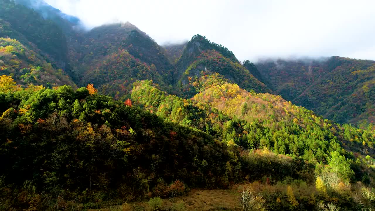 重庆城口大巴山秋色美如画视频素材