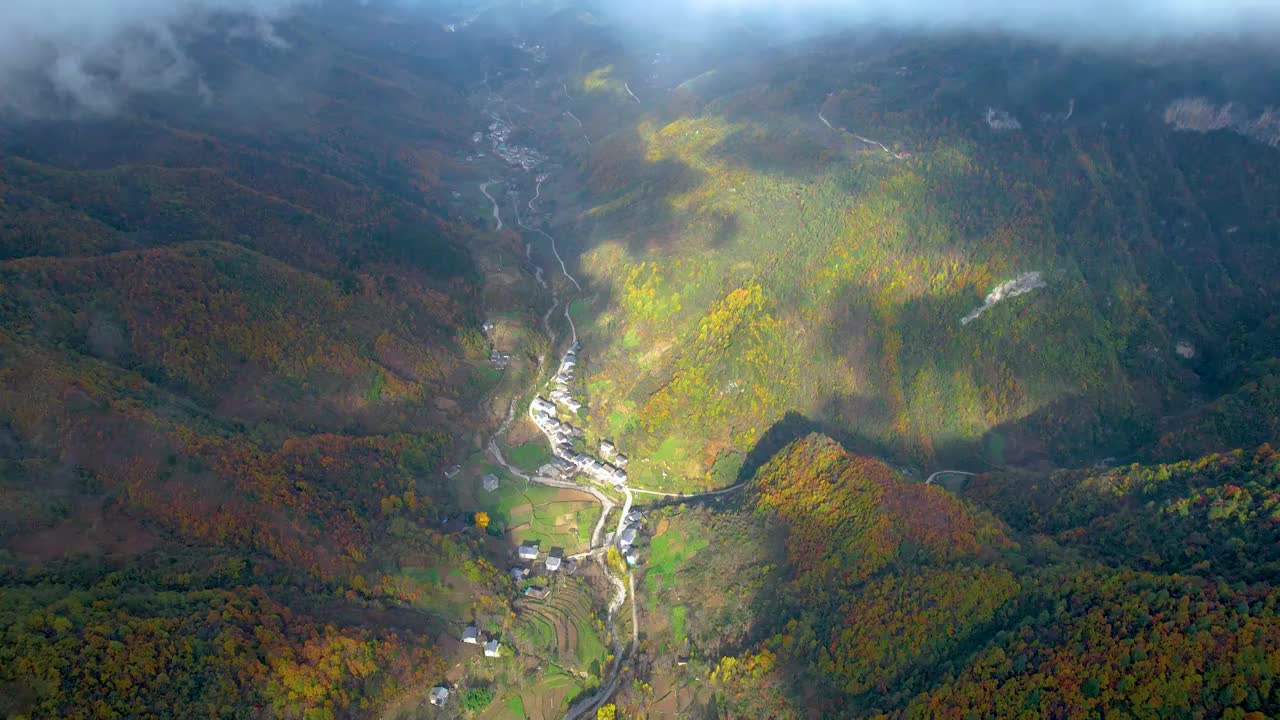 重庆城口大巴山秋色美如画视频素材