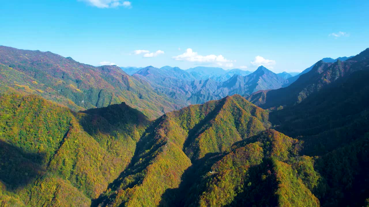 重庆城口大巴山秋色美如画视频素材