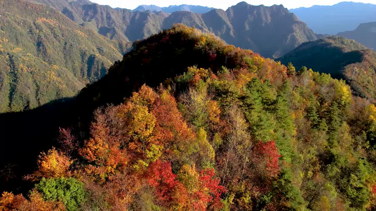 重庆城口大巴山秋色美如画视频素材