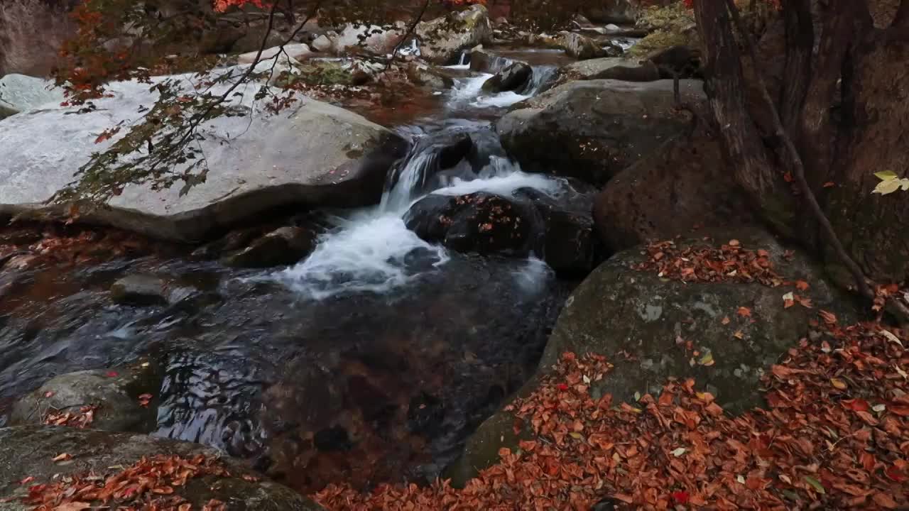 老边沟的枫叶与河流，秋天的本溪，东北的秋天，红叶与小溪视频素材