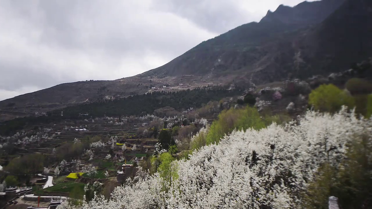 丹巴梨花民居大景视频素材