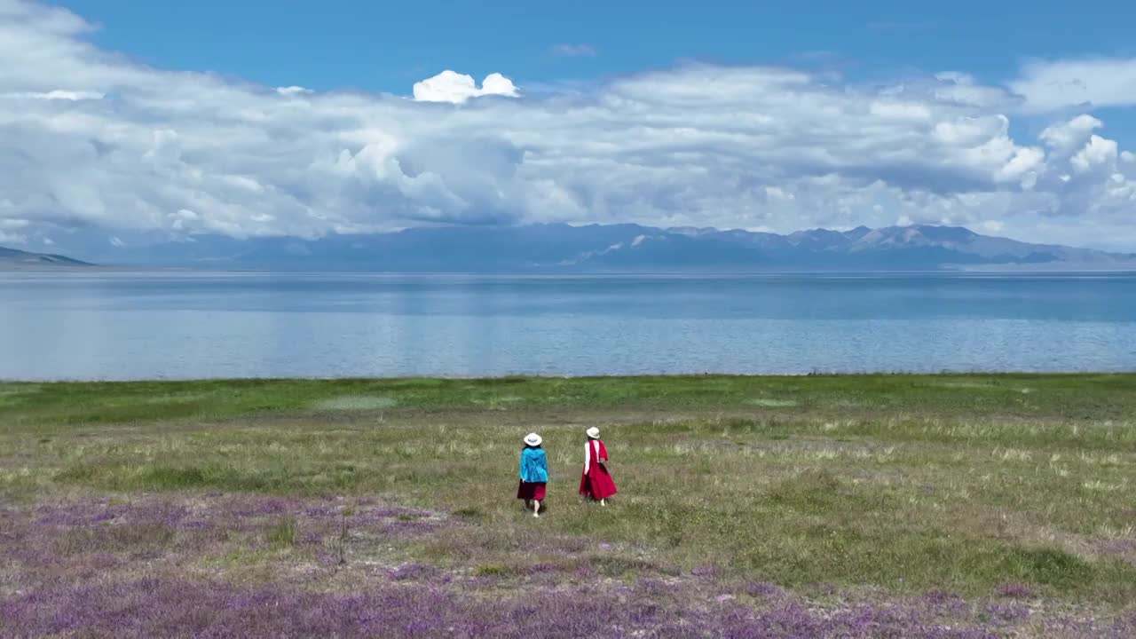 赛里木湖花开时节视频素材