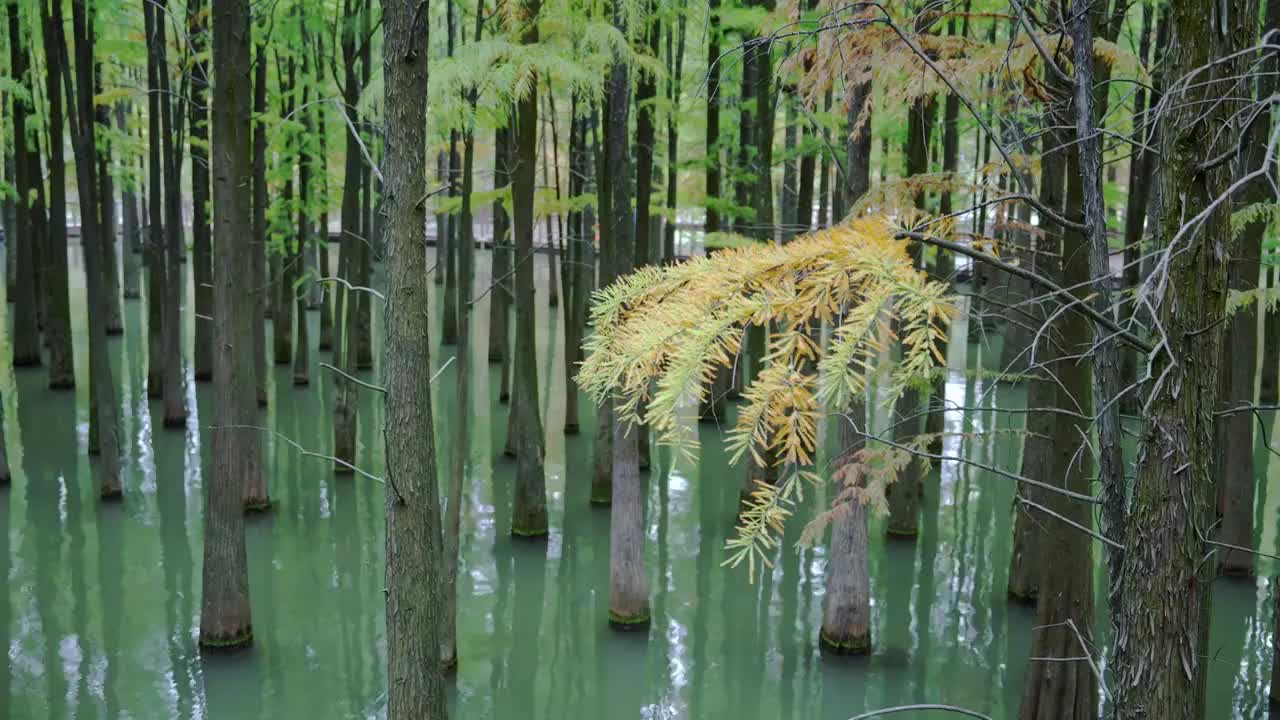 杭州青山湖视频下载