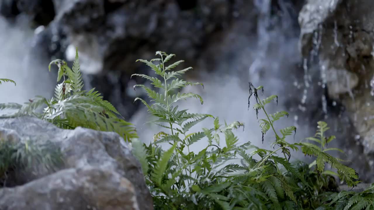 中式园林景观假山视频下载