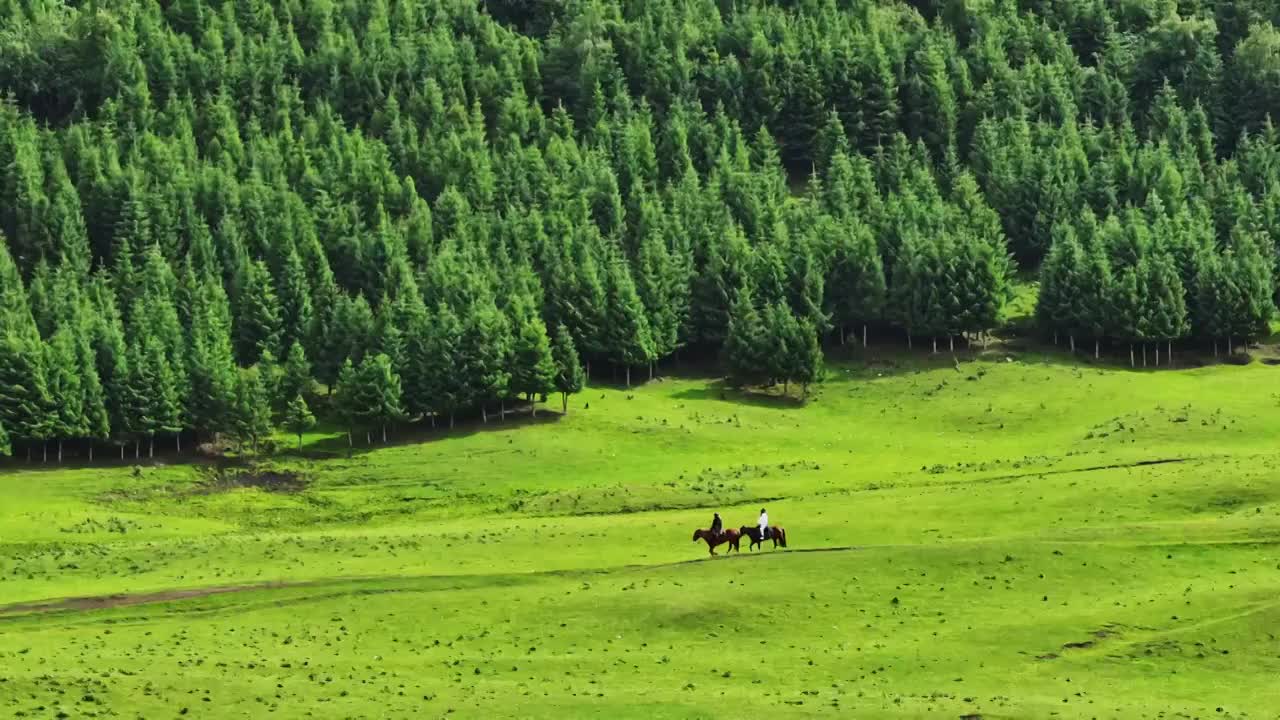 草原骑马航拍视频素材