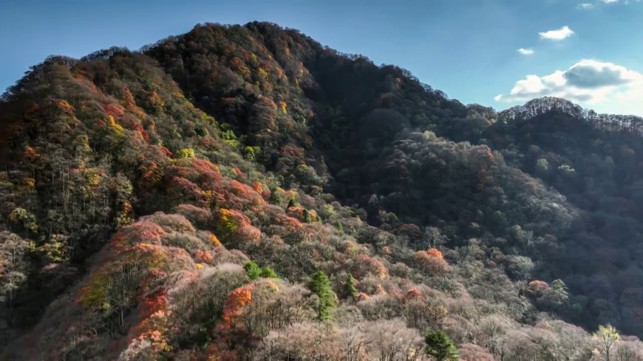 光雾山的迷人晚秋视频素材